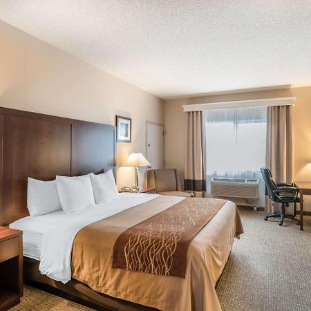 Comfort Inn & Suites Seattle North Esterno foto